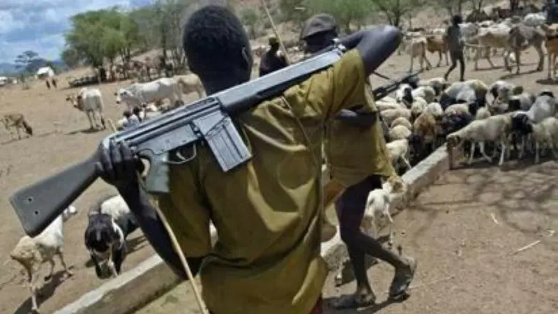 People fleeing their homes following Benue Attacks