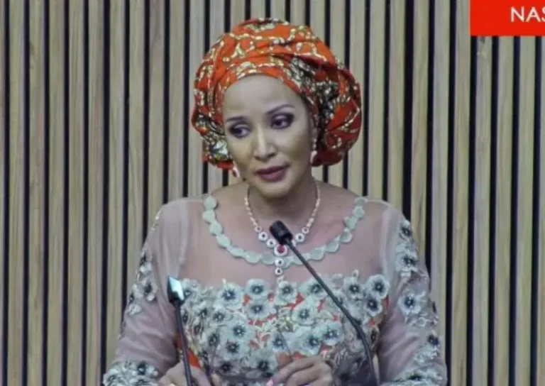 Minister Odumegwu-Ojukwu addressing concerns about U.S. deportation policy.