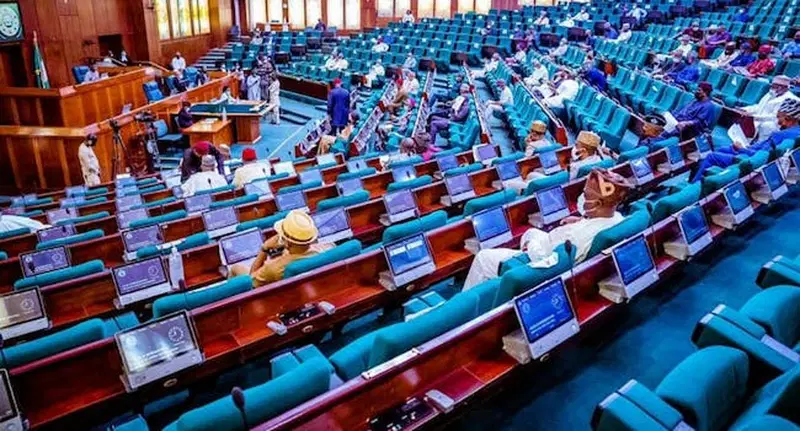 Senator Jubrin Barau speaking at the National Assembly about the 2025 Budget.