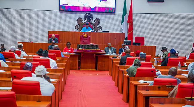Nigerian Senate voting on the 2025 Appropriation Bill.