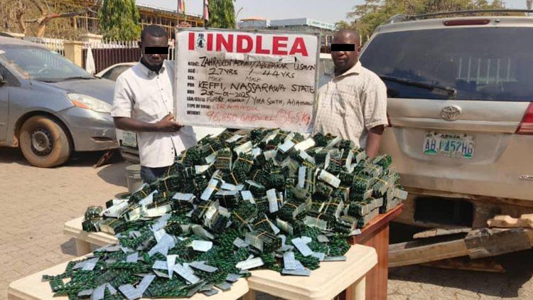 NDLEA officers display seized Tramadol pills following a major bust in Nigeria."
