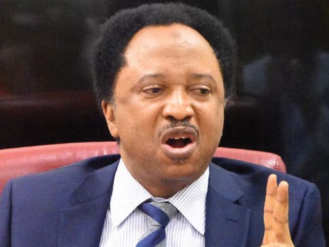 Shehu Sani declares interest in Kaduna Central seat for 2027, dependent on politics. Priority is Gov. Uba Sani's re-election. Condemns Edo killings.