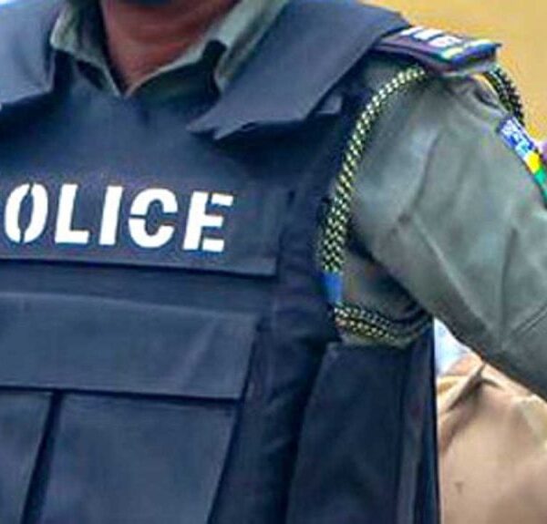 Edo police arrest two suspected kidnappers after victims identify them. Investigation expands to find remaining gang members. Public cooperation sought.