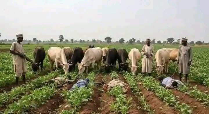 At least 56 killed in deadly Benue State attacks as herder-farmer clashes erupt in central Nigeria. Security forces respond to the ongoing violence