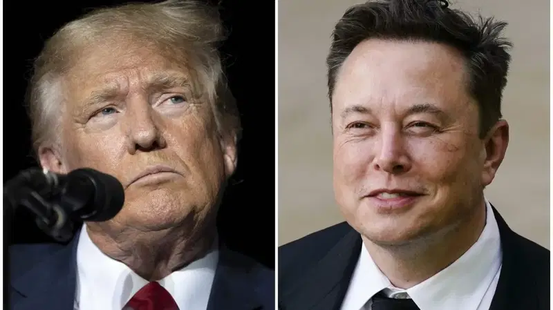 Elon Musk to cut Trump admin work to Musk focus on Tesla after 71% profit drop. Analysts urge shift amid financial challenges