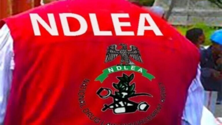 NDLEA officers shot & injured during Abuja raid ambush. Three hospitalized. NDLEA Chairman vows justice for attackers. Read the story.