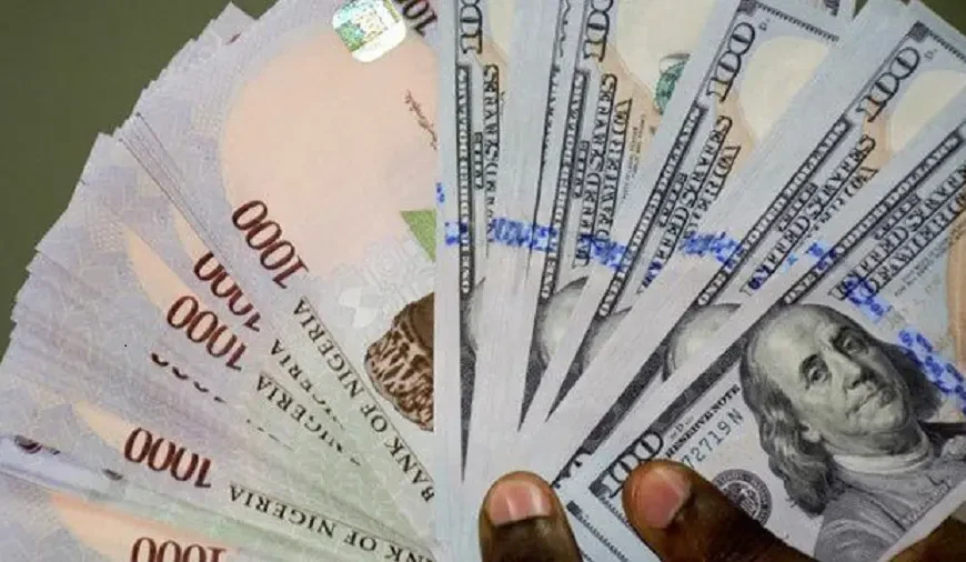 Naira Appreciates Against Dollar: Nigeria's currency gains in official & parallel markets. See Friday's improved rates & recent positive trend.