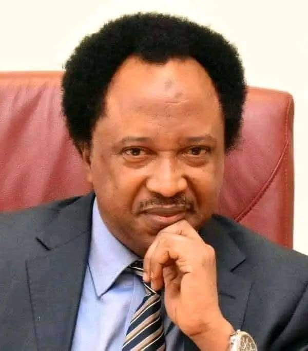Trump's tariffs threaten Nigeria economy at risk, warns Shehu Sani. Nigerian officials echo concerns over potential harm from US trade policies