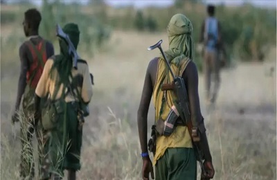300 armed bandits in Niger State seen crossing highway. Security deployed; 2 vigilantes killed confronting group. Updates pending
