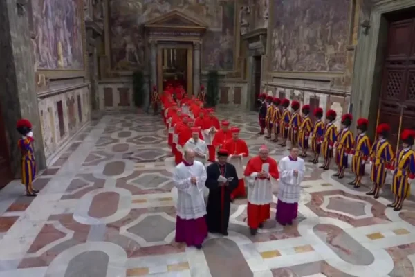 133 Cardinals in Sistine Chapel for conclave to choose pope. Rituals, secrecy oaths mark start of election after Pope Francis' death