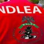 NDLEA drug crackdown: Octogenarians caught, N3.2bn+ drugs seized! Shocking Nigerian port busts & arrests detailed. Read more now!