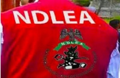 NDLEA drug crackdown: Octogenarians caught, N3.2bn+ drugs seized! Shocking Nigerian port busts & arrests detailed. Read more now!