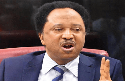 Shehu Sani to El-Rufai, Amaechi: Apologize for Nigeria's economic crisis. Ex-senator blasts hypocrisy, calls for accountability, unity.