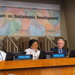 Nigeria presents mixed SDG progress at 2025 UN Forum. Princess Orelope-Adefulire reports 34.6% improvement, calls for global partnerships