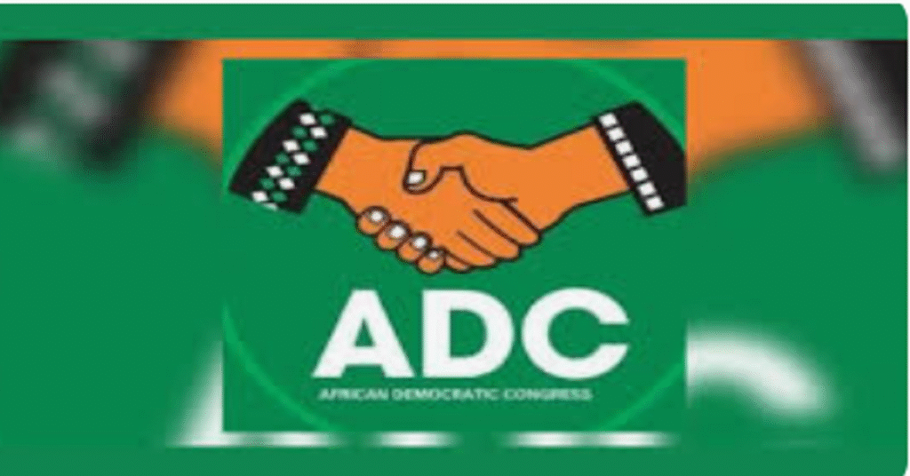 Senator Natasha Akpoti-Uduaghan speaking to crowd of supporters holding protest signs outside Nigerian National Assembly building