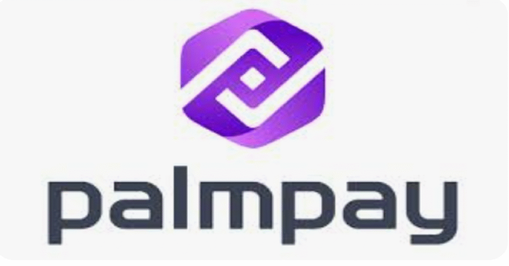 PalmPay executive Chibuzor Melah presenting at GITEX 2025 Lagos panel on African fintech and financial inclusion strategies